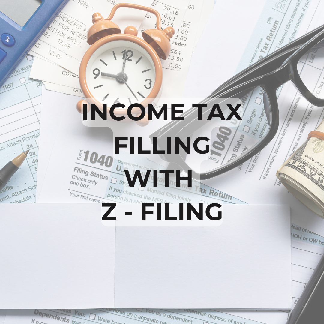 This image is Income Tax filing with ZFiling